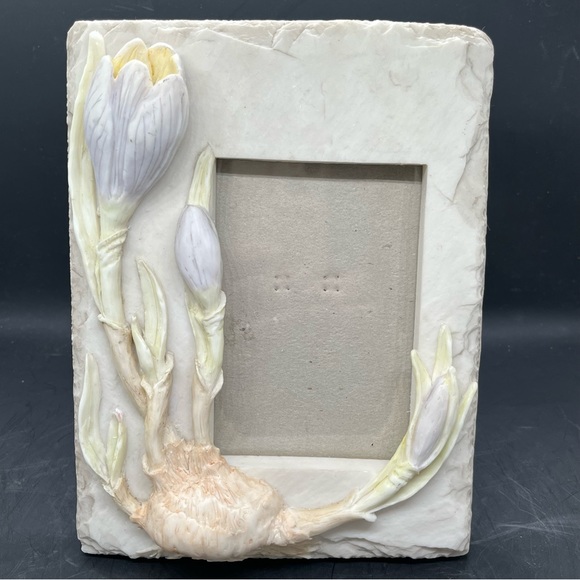 FRAME OLOGY LIFE MOMENTS ART PICTURE PHOTO FRAME FLOWER Spring Crocus 1997 - Picture 2 of 16
